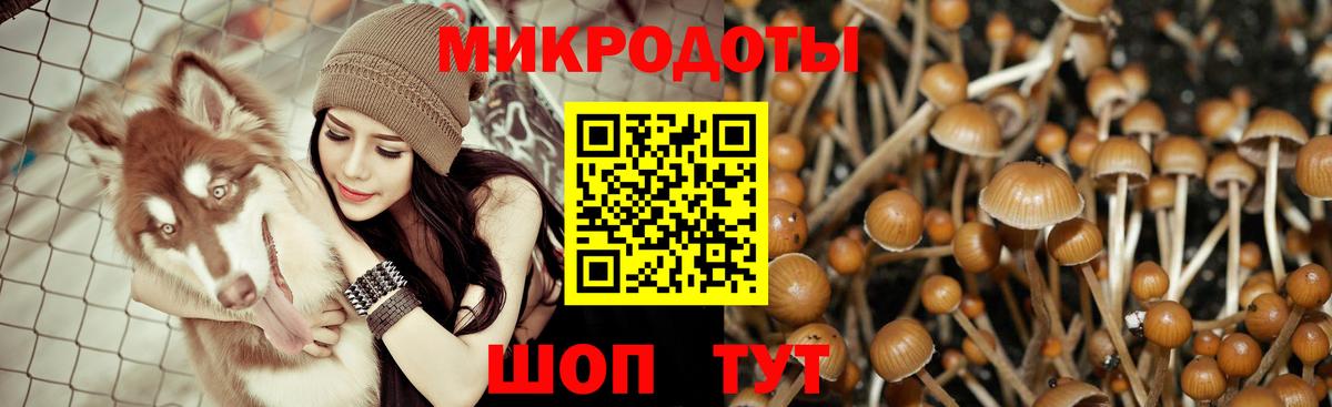 Ижевск  Галлюциногенные грибы прущие грибы  Вход с VPN 